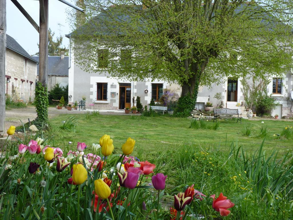 La Cle Des Jardins Bed & Breakfast Nouâtre Eksteriør bilde