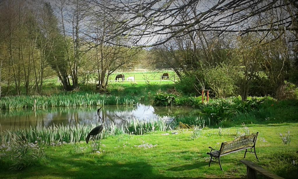 La Cle Des Jardins Bed & Breakfast Nouâtre Eksteriør bilde
