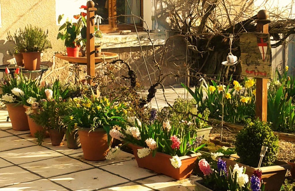 La Cle Des Jardins Bed & Breakfast Nouâtre Eksteriør bilde